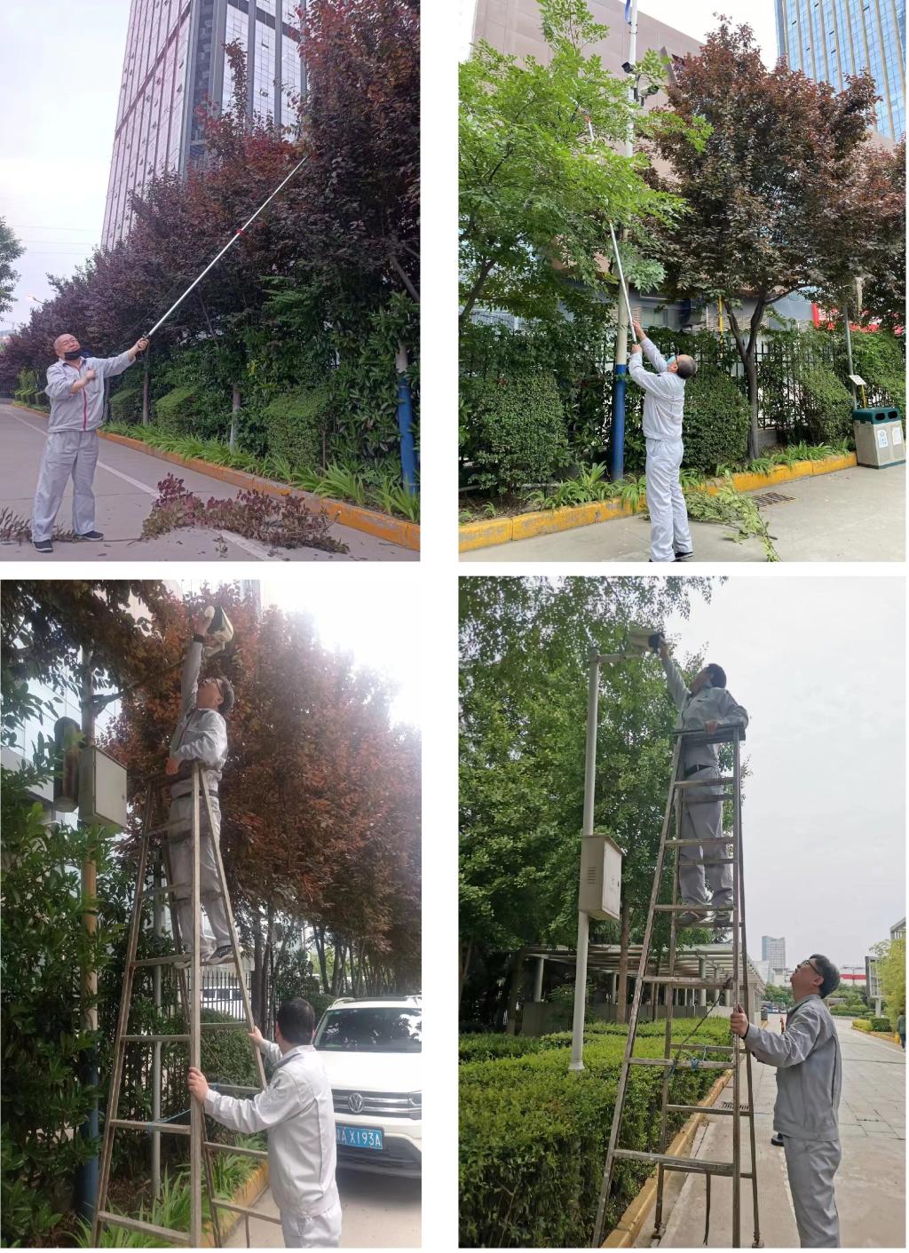 A20509D6EDA317BC873E504FFAA_60A40B8A_4D452